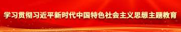 肉棒操鸡巴过程中的视频学习贯彻习近平新时代中国特色社会主义思想主题教育